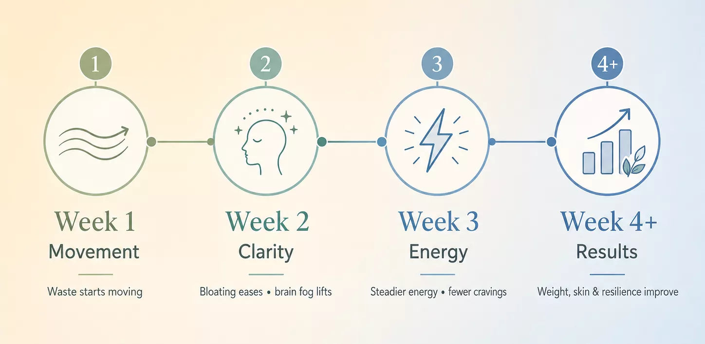 A four-week timeline graphic showing progress through movement, clarity, energy, and results.